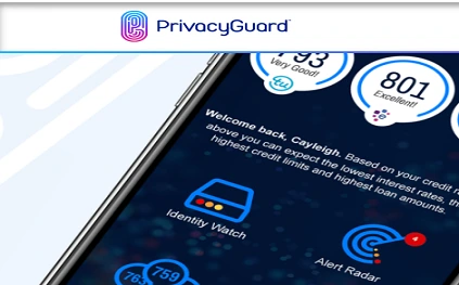 PrivacyGuard Identity Fraud