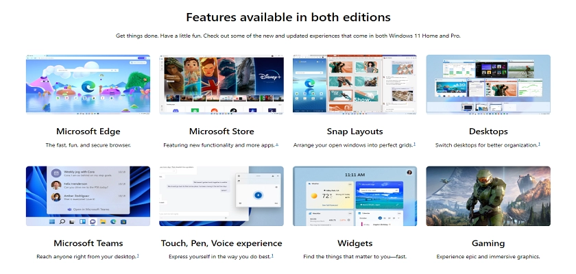 Windows 11 Home and Pro Features