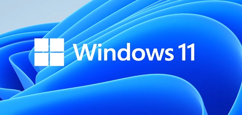 Windows 11