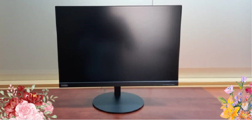 Lenovo ThinkVision Monitor T24d-10 Review
