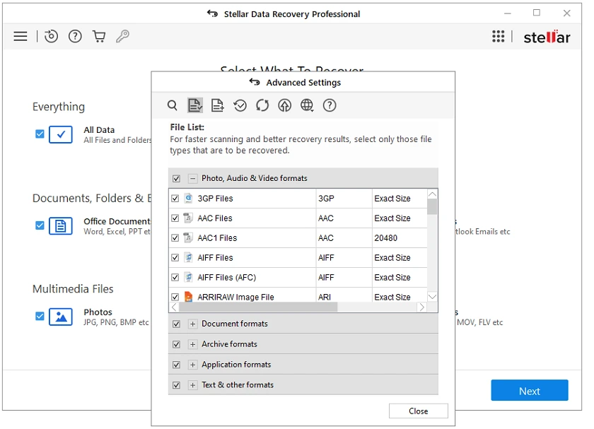 Stellar Data Recovery Professional File List