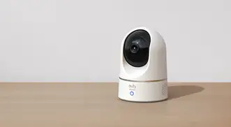 eufy Security Indoor Cam C120 & P24, 2K, Indoor Security Camera, Wi-Fi  Plug-in Camera, Human & Pet AI, Voice Assistant Compatibility, Night  Vision